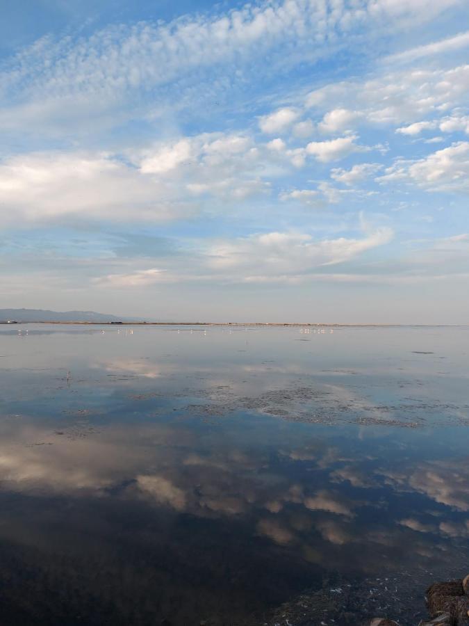 Encantador Apartamento En El Delta Del Ebro-Apartaments Iaio Kiko El Lligallo del Ganguil Eksteriør bilde